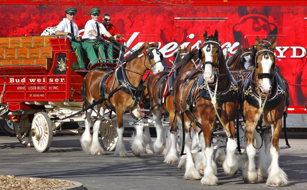 Don't miss the Clydesdales coming to town! >>> bit.ly/2oHFasu