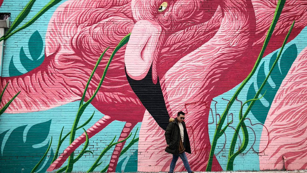 Time Out Chicago tweet media