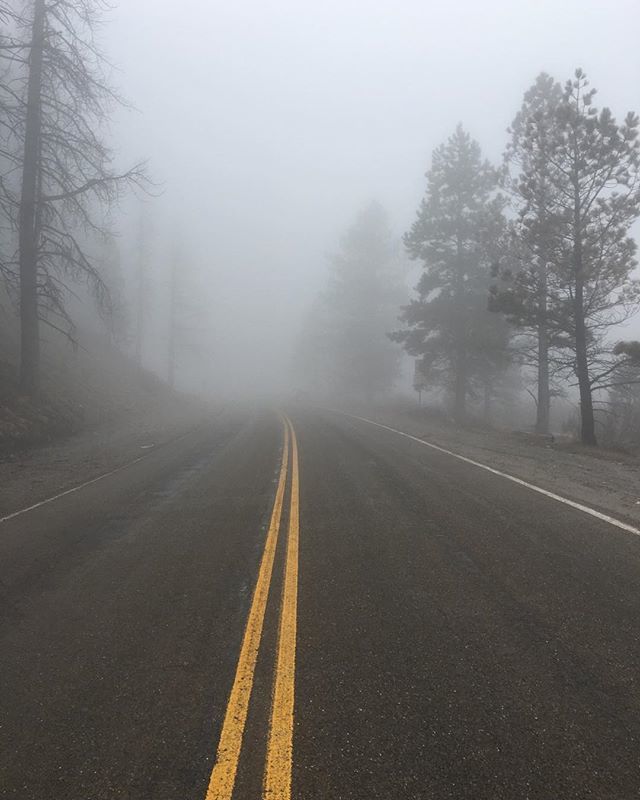 PixelogyStudios's tweet photo. #fog #forest #love #nature #landscape #landscapephotography #pixelogystudios #landscapelovers #naturelovers #outdoors #follow #mothernature #hike #hiking #sunset #roadtrip #beautiful #mars #picoftheday #nakedplanet #bestoftheday #amazing #fun #l4l #moun… https://t.co/ifPkGHarrx https://t.co/Ul53Z7ZODm