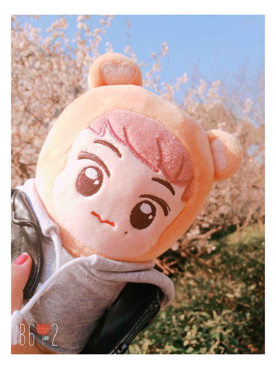 coldsummer0606's tweet photo. #맠라이언 #marklion
#해뽀 #haeppo
#markchan
🌸🌸🌸🦁🐻🌸🌸🌸 https://t.co/XXfveSArE9 https://t.co/YUHuSTGljP