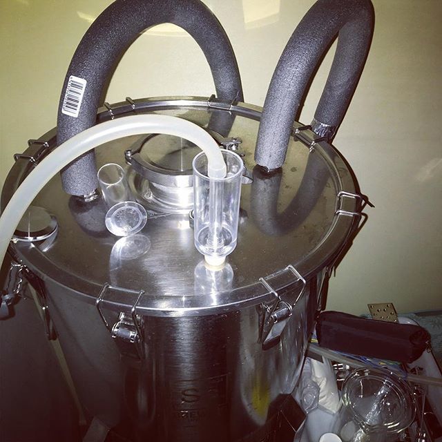 7floorbrewing's tweet photo. Co2 cold crash with #ssbrewtech fermenter. 0,1 bar. Oxygen go f*** yourself! 😜🖕
#homebrewing #coldcrash #ssbrewtech #homebrewingonly #milkshakeipa #craftbeer #vermontyeast #diy #brewing #ipa https://t.co/NCeC3oX5Ch https://t.co/1Tzmaeuk5x