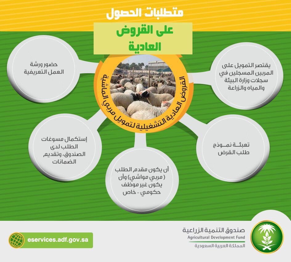 shmalonline's tweet photo. متطلبات الحصول على قرض .. https://t.co/FITXSqYub2