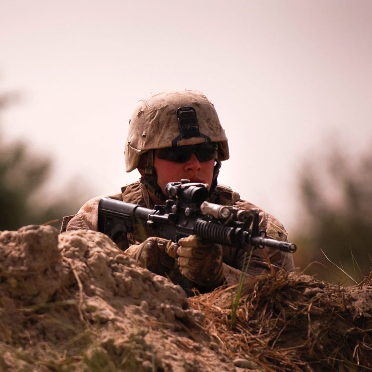 marine 0311