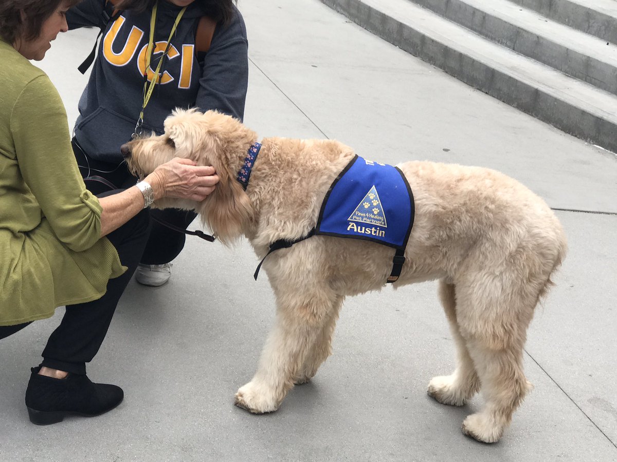 Dx_Nikki's tweet photo. !!!!! Therapy dogs are back on campus again! Pls bring me more haha🙏 https://t.co/L6fp01FWNx