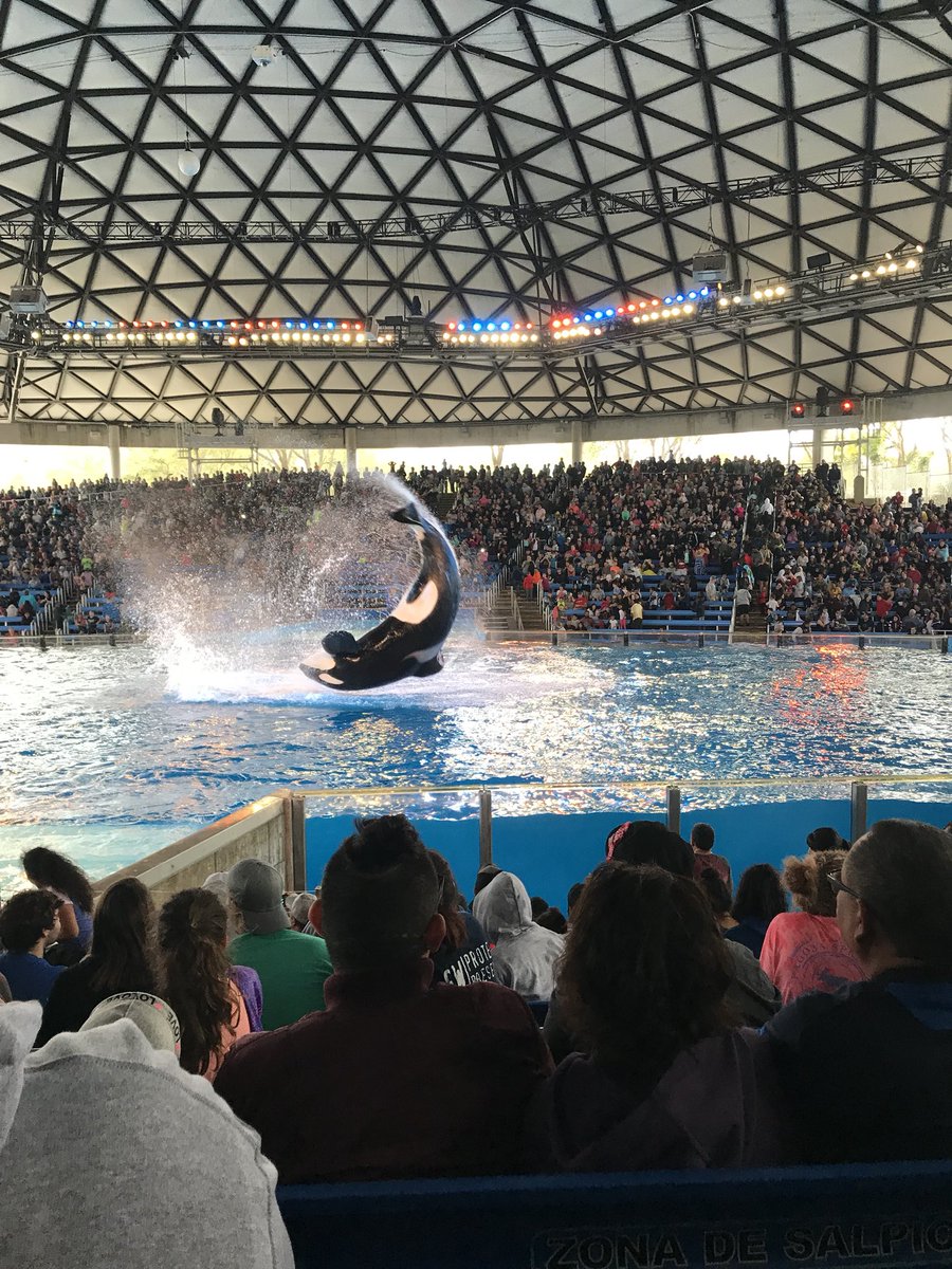 ChefRyanKate's tweet image. Sea you later Shamu!🐳🐠🐋