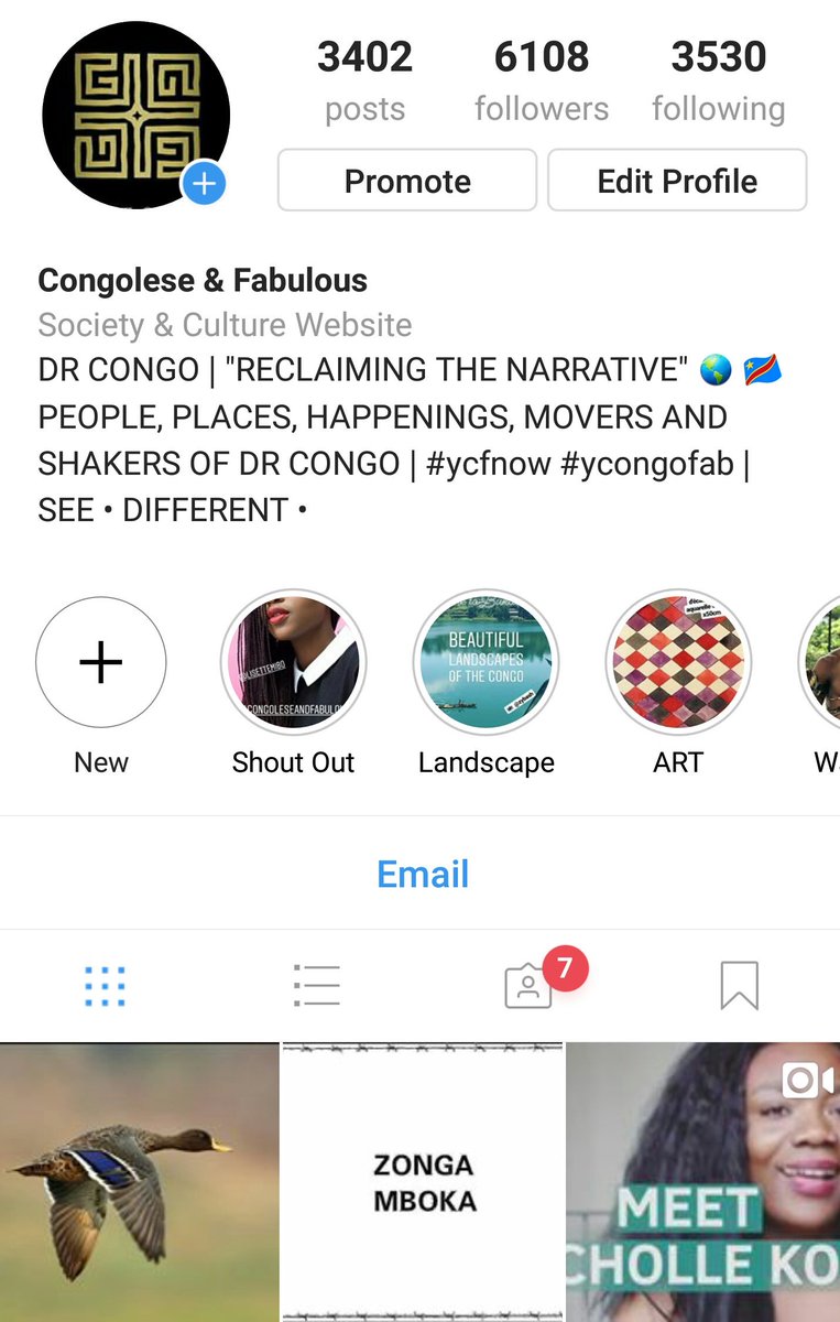 YCongoFab's tweet photo. THEY WANT WHAT THEY CANNOT HAVE

DISCOVER: Follow us on Instagram for to-the-minute updates.

#congofacts #congo #drcongo #virunga #kivu https://t.co/lF8sH6nRRh