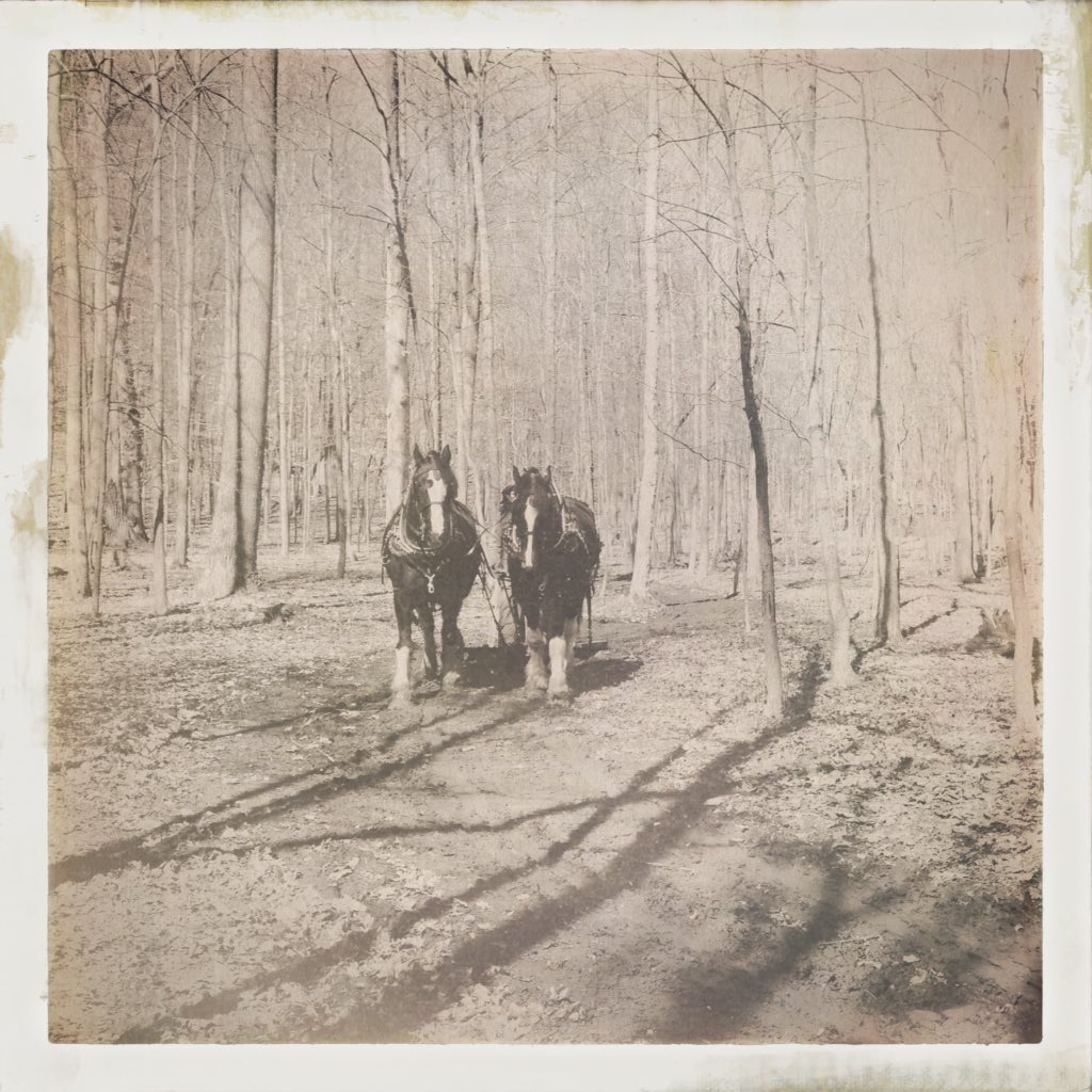 mandyandbingley's tweet photo. And here are a few more that couldn't fit in the other tweet .@HaleFarm #MapleFestival https://t.co/d9L8Uct3Ac