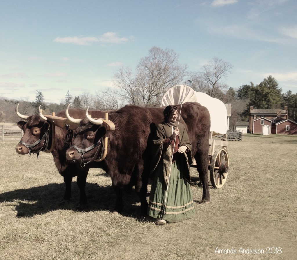 mandyandbingley's tweet photo. And here are a few more that couldn't fit in the other tweet .@HaleFarm #MapleFestival https://t.co/d9L8Uct3Ac