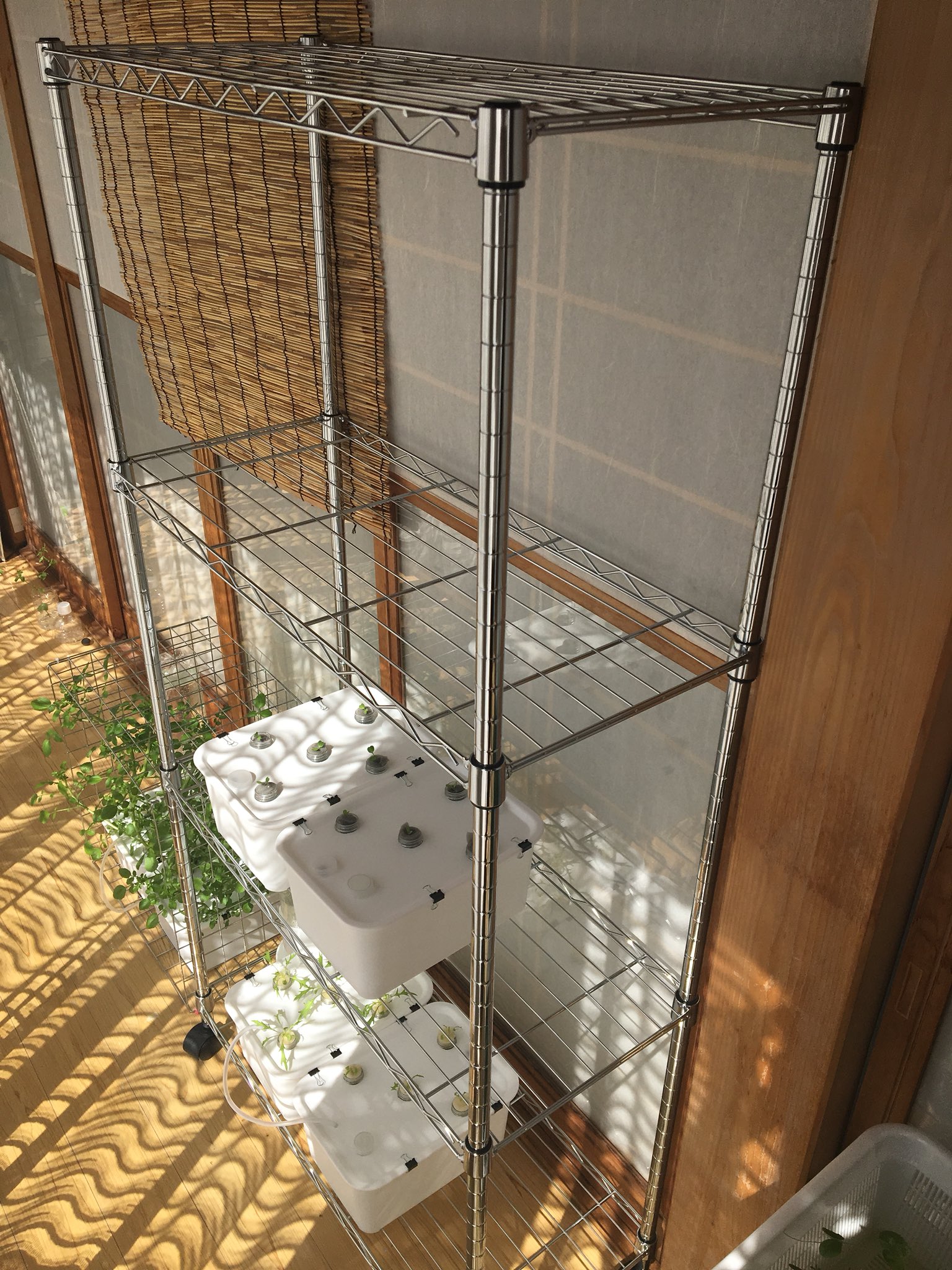 水耕栽培 徐々に植物工場感が出てきました とりあえずの目標はこのイラストです もちろん無塵衣は着ませんが T Co Agzj9opzgf Twitter