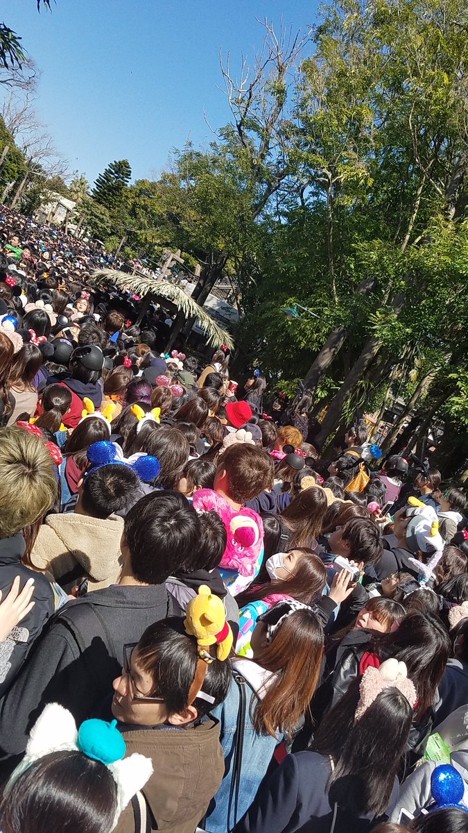 キャパオーバー笑笑
#TDR_now