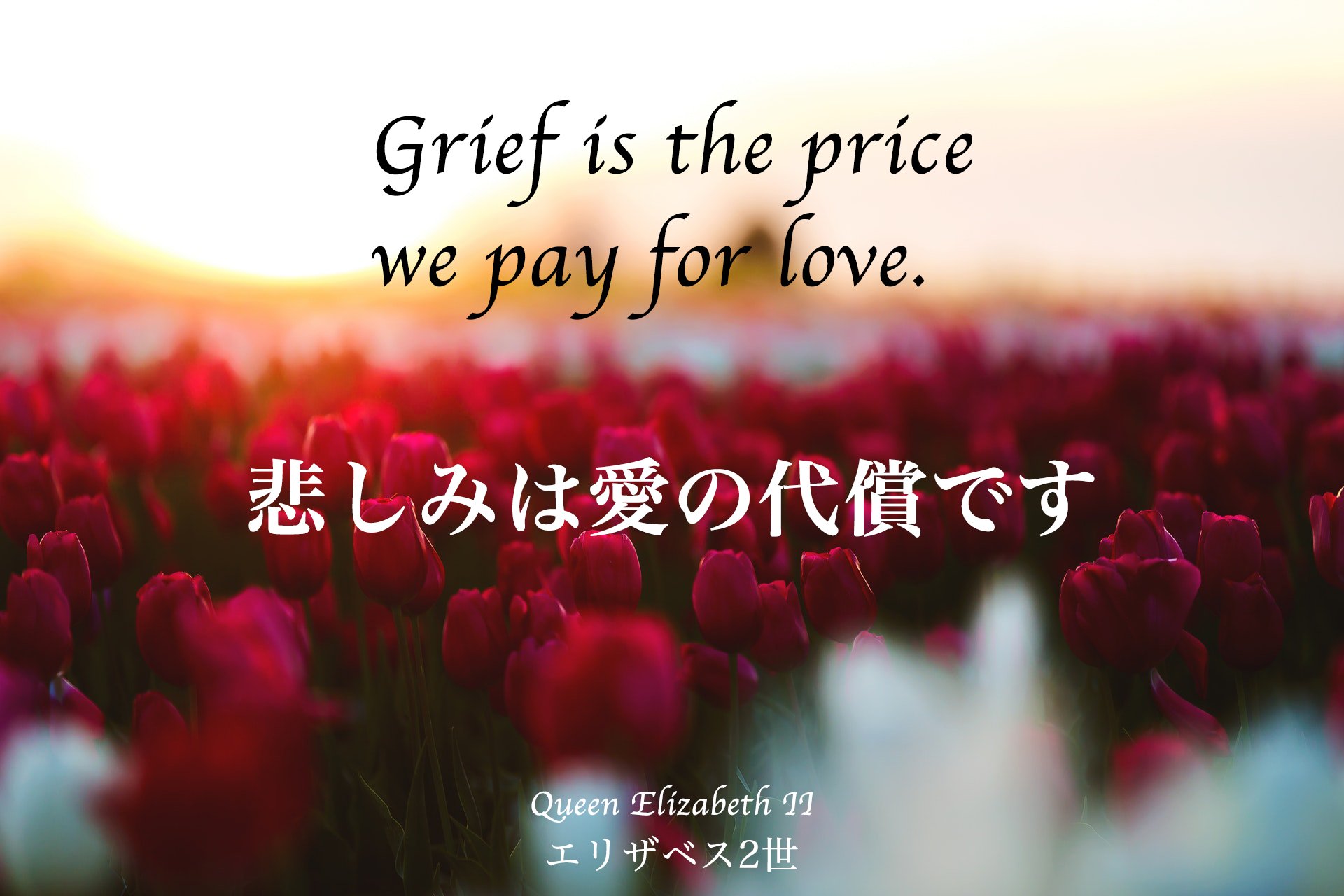 スイスイ英会話 今日の英語名言 直訳すると 悲しみは愛のために払う対価です Grief Is The Price We Pay For Love 悲しみは愛の代償です Queen Elizabeth Ii エリザベス2世 名言 名言集 英語 英会話 英語の勉強 英語勉強 英語名言 T
