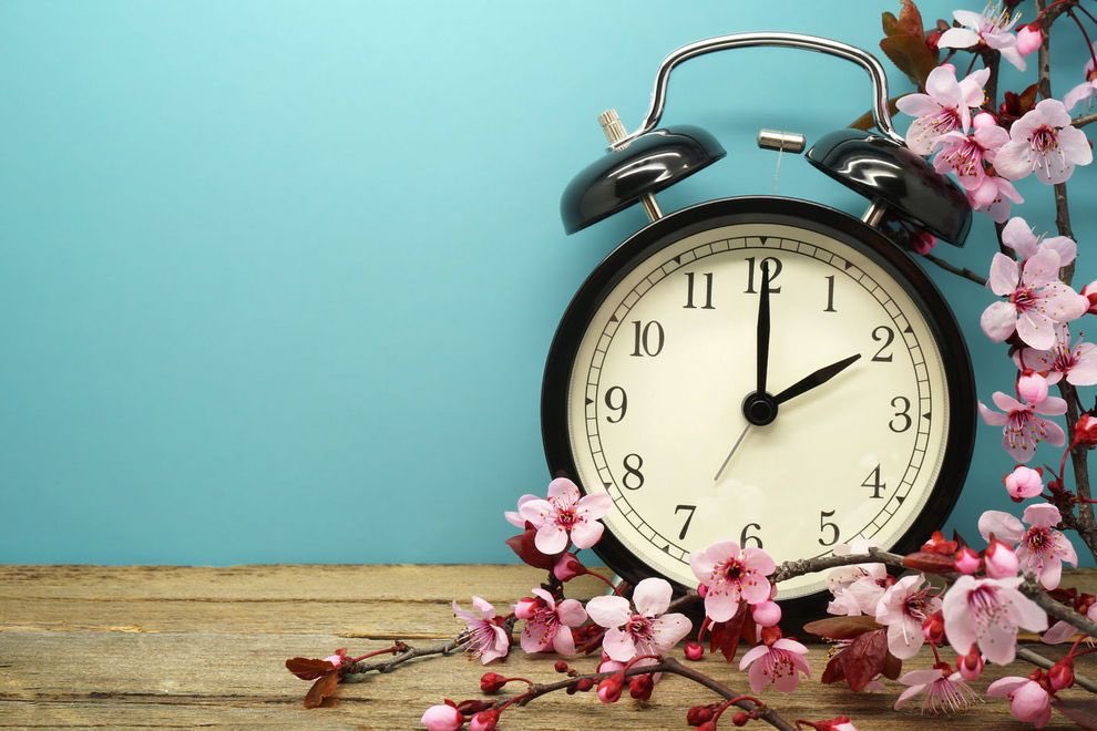 PBFAU's tweet photo. Don’t forget to Spring forward one hour before classes tomorrow! #daylightsavings https://t.co/AE3G4XwJUZ