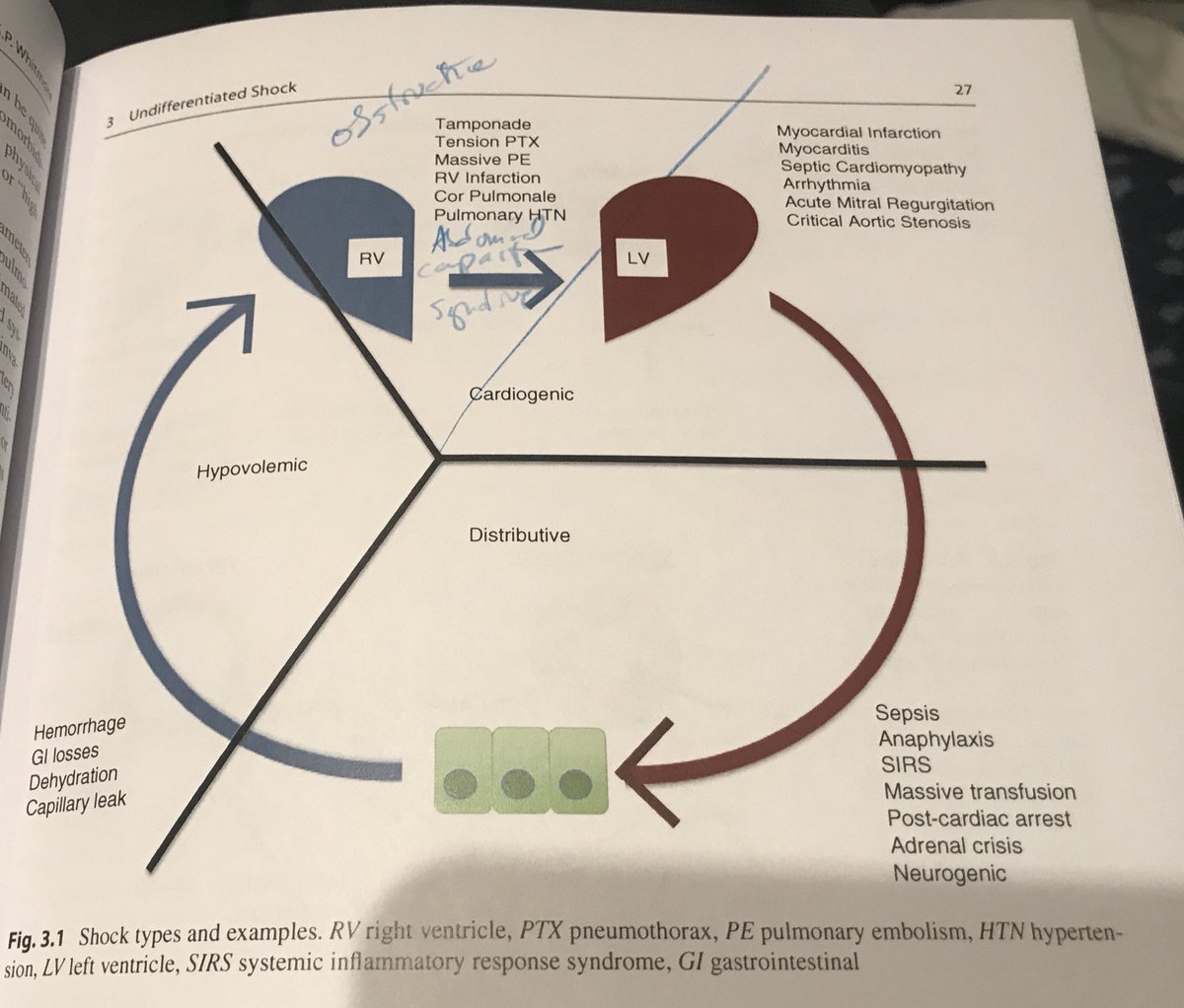 free iterative software engineering for