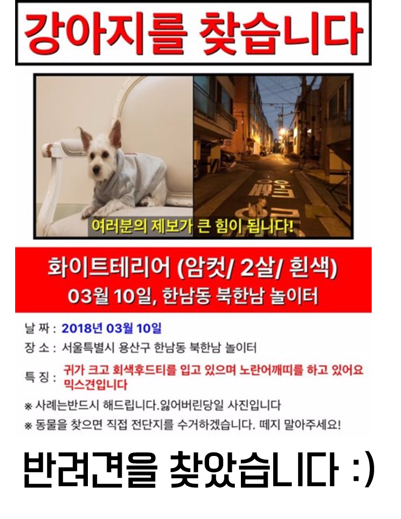 동물권행동 카라 tweet media
