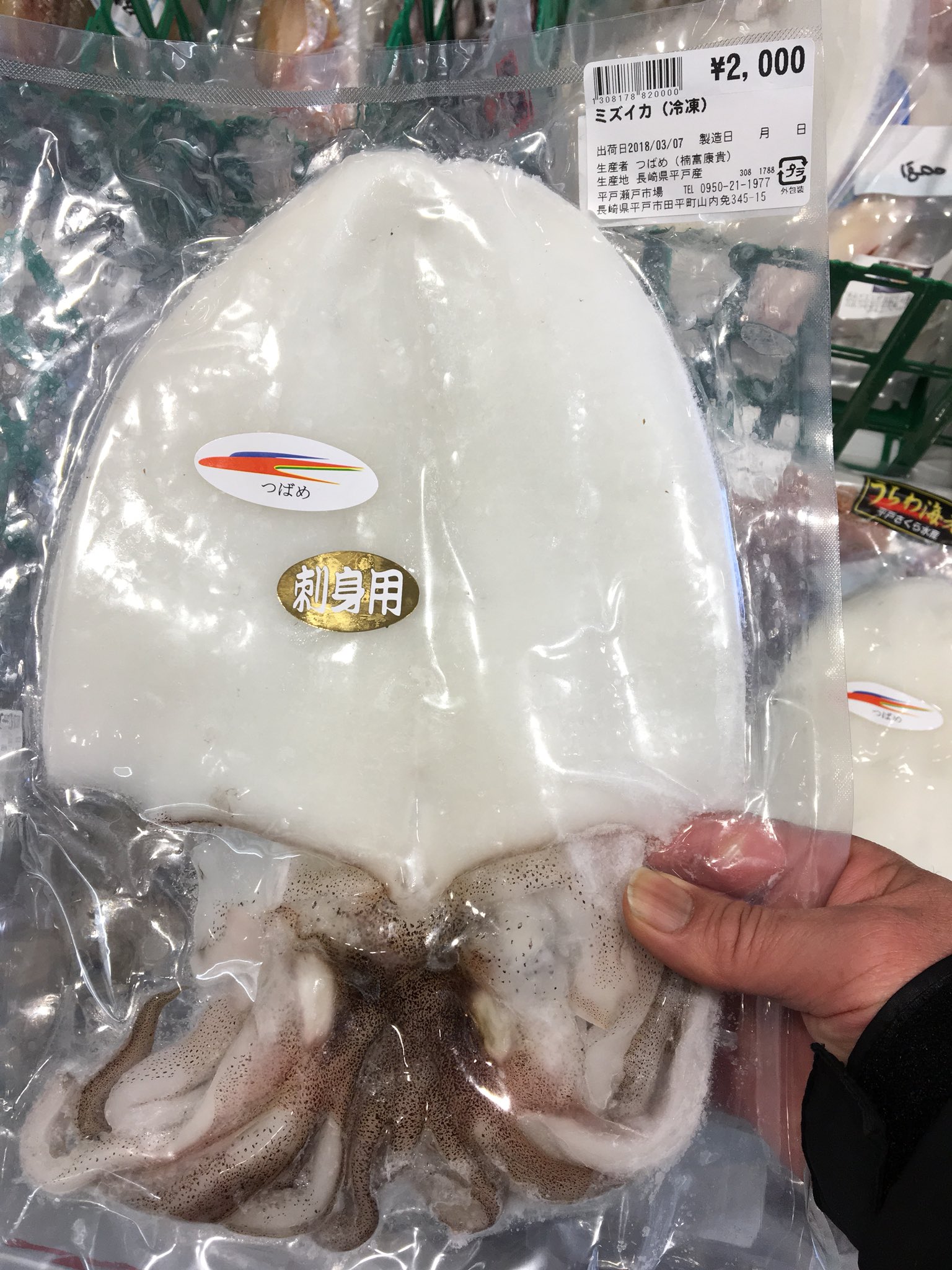 中島英樹 イカ釣り師 アオリイカの刺身用冷凍真空パックこのサイズで2 000円 いい値段するなー アオリイカ 水イカ 平戸 平戸瀬戸市場 エギング エギング速報 平戸産 イカ T Co Pimgi1gczj Twitter