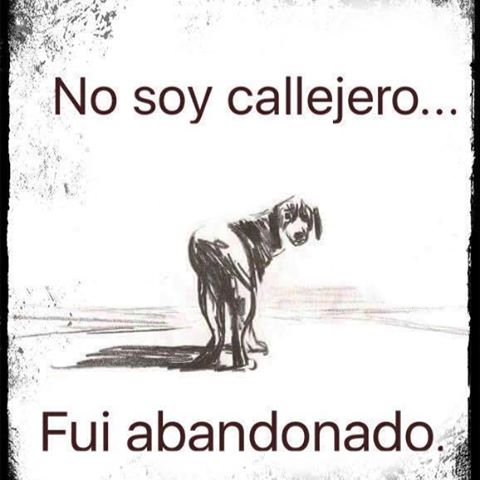 Animalesmsjs's tweet image. — #Adopta 💯💔🐶😢😔😭
