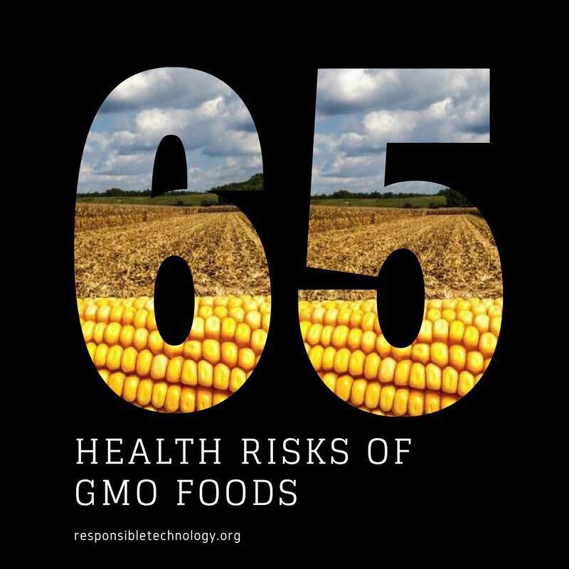 IRTnoGMOs's tweet image. “GM crops may increase environmental toxins and bioaccumulate toxins in the food chain.” bit.ly/2AmrSc8 #GMOs #healthylifestyle #nontoxic
