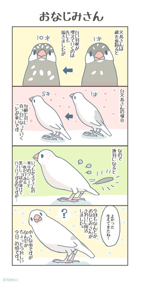 文鳥さんの絵やまんがを描いてます

 #私の作品もっと沢山の人に広がれ祭り 