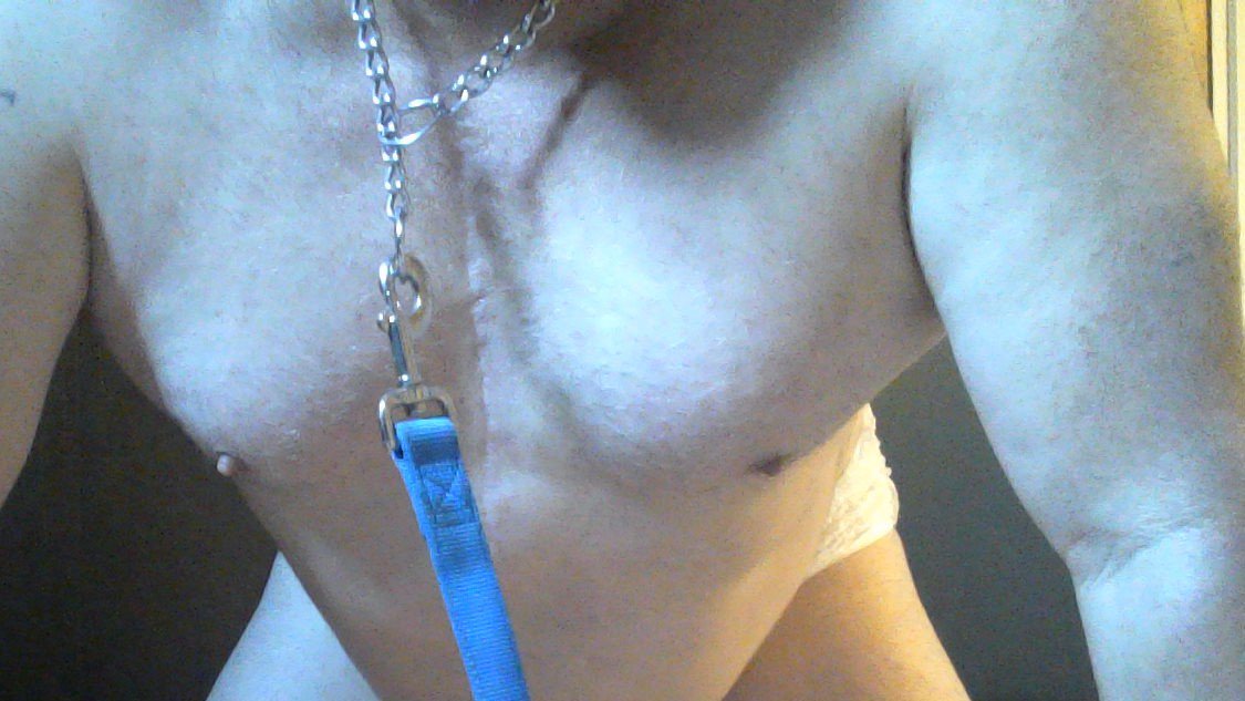 pigslave tweet media