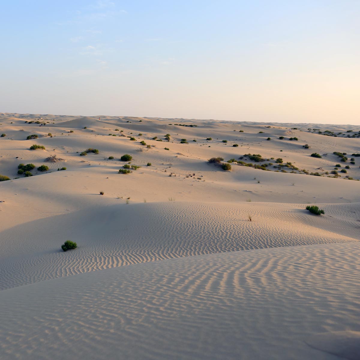 Morning campers! Another sneak peak at a #newdesign 
Hello Woodblock print!

#sandfordays #doublesleepingbag #abudhabi #sleepingbeauties #monday #desertcamping #sleepingbags #lovecamping #glamping #glampgirl