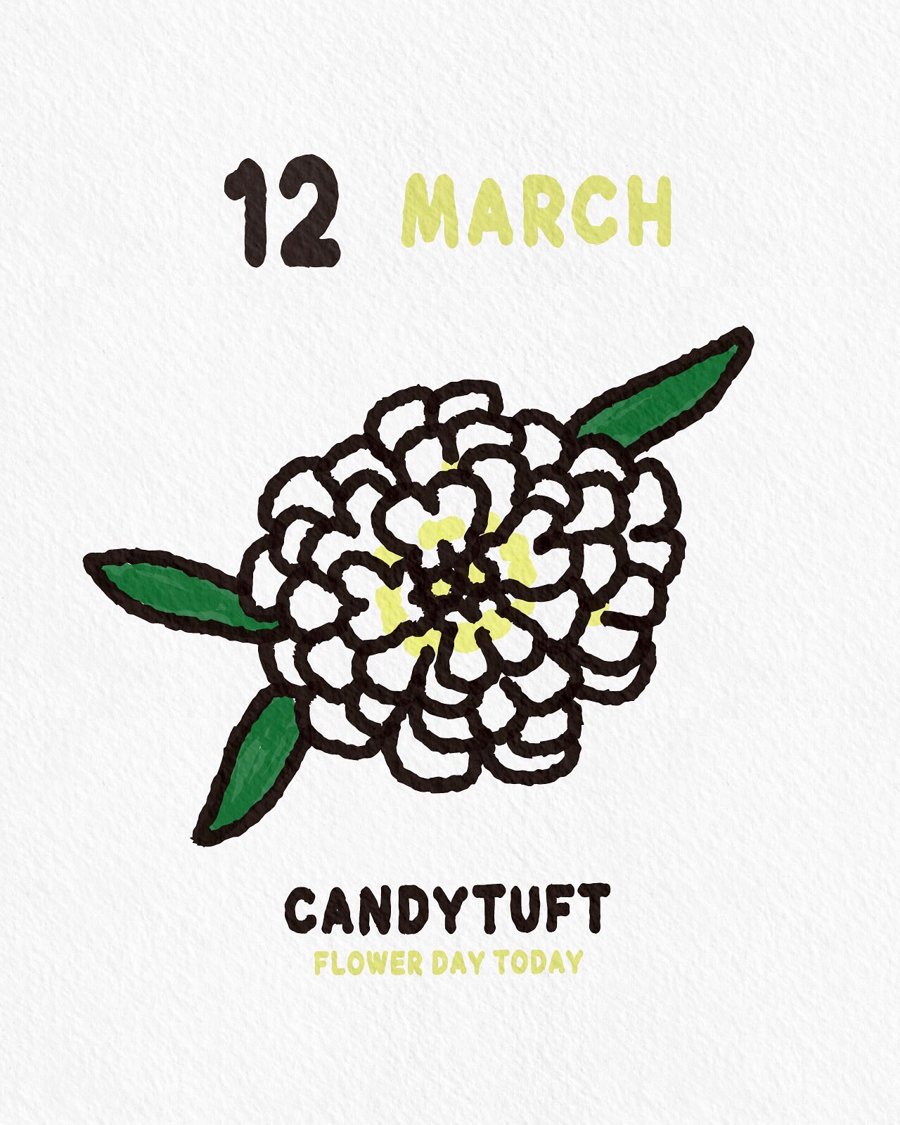 טוויטר キャンディタフト חיפוש טוויטר