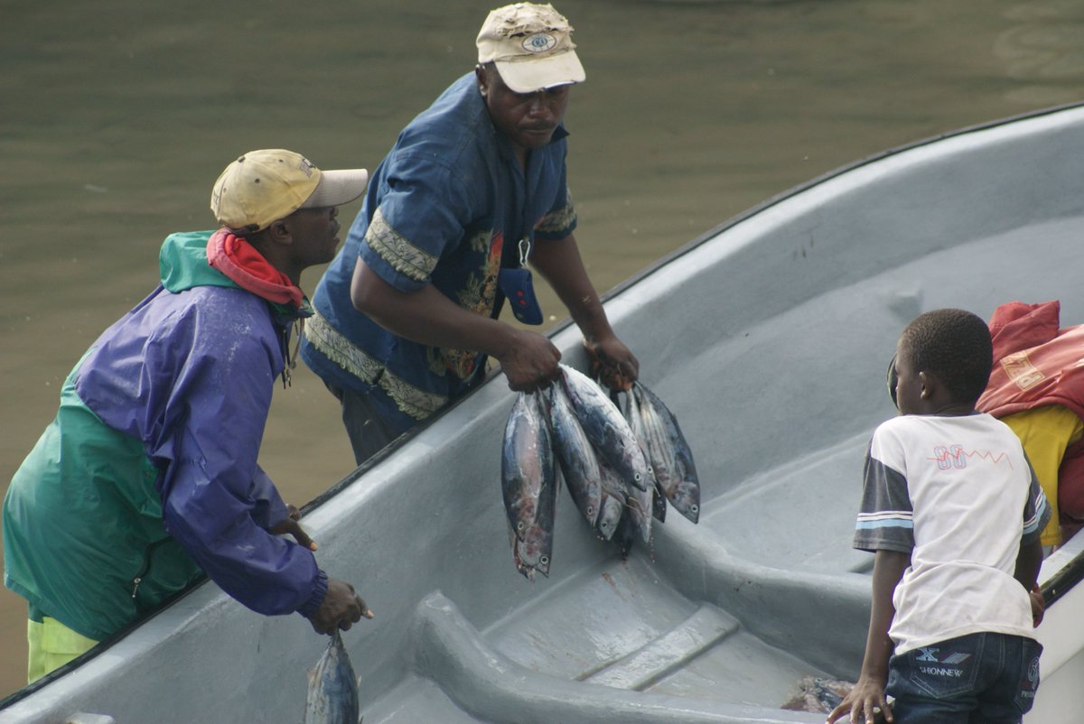 #artisanalfishing lessons from #Comoros #WesternIndianOcean @tunasolutions @FisheriesTI @SMARTseas @SmartFish_IOC @ISSF #CommunityManagedMarineParks #OceanLiteracy18 @IocUnesco #fisheries #SDGs