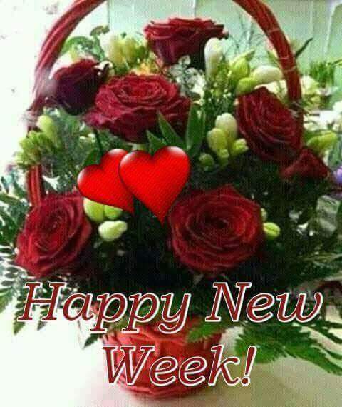 DongoJoshua's tweet image. 