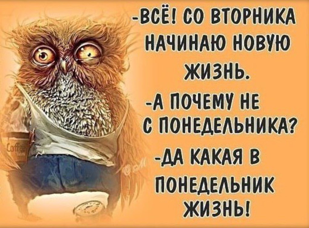 Приколы в картинках с надписями про работу с утра, прикольные коты картинки