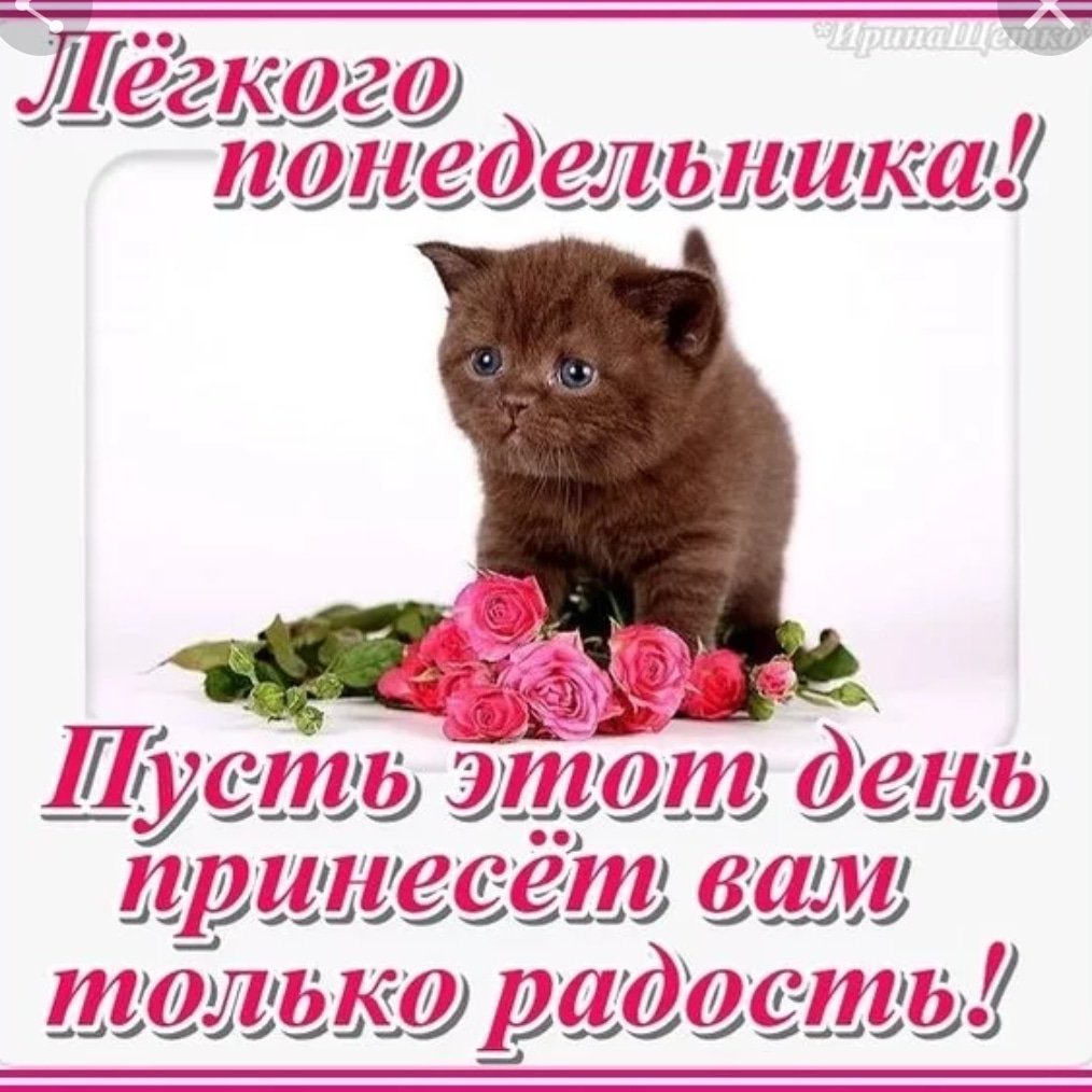 Открытка с пожеланием легкого дня, днем рождения цветной