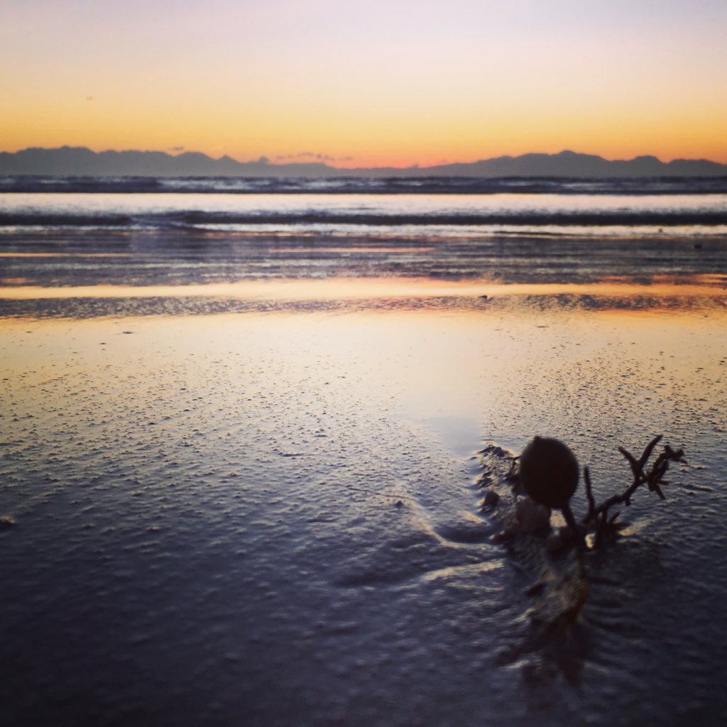 mrsngood's tweet photo. #ThisMorningsJoyFullSunRising #CapeTown #IlluminatingLight #Ocean #Beach #Contours #BeachVegetation #ChooseContentment π
@RTCapetown @kaapKiekies @CapeTravelOnlin @CapeTownEtc @lovecapetown @CapeTownMag https://t.co/o8soPbbvlX