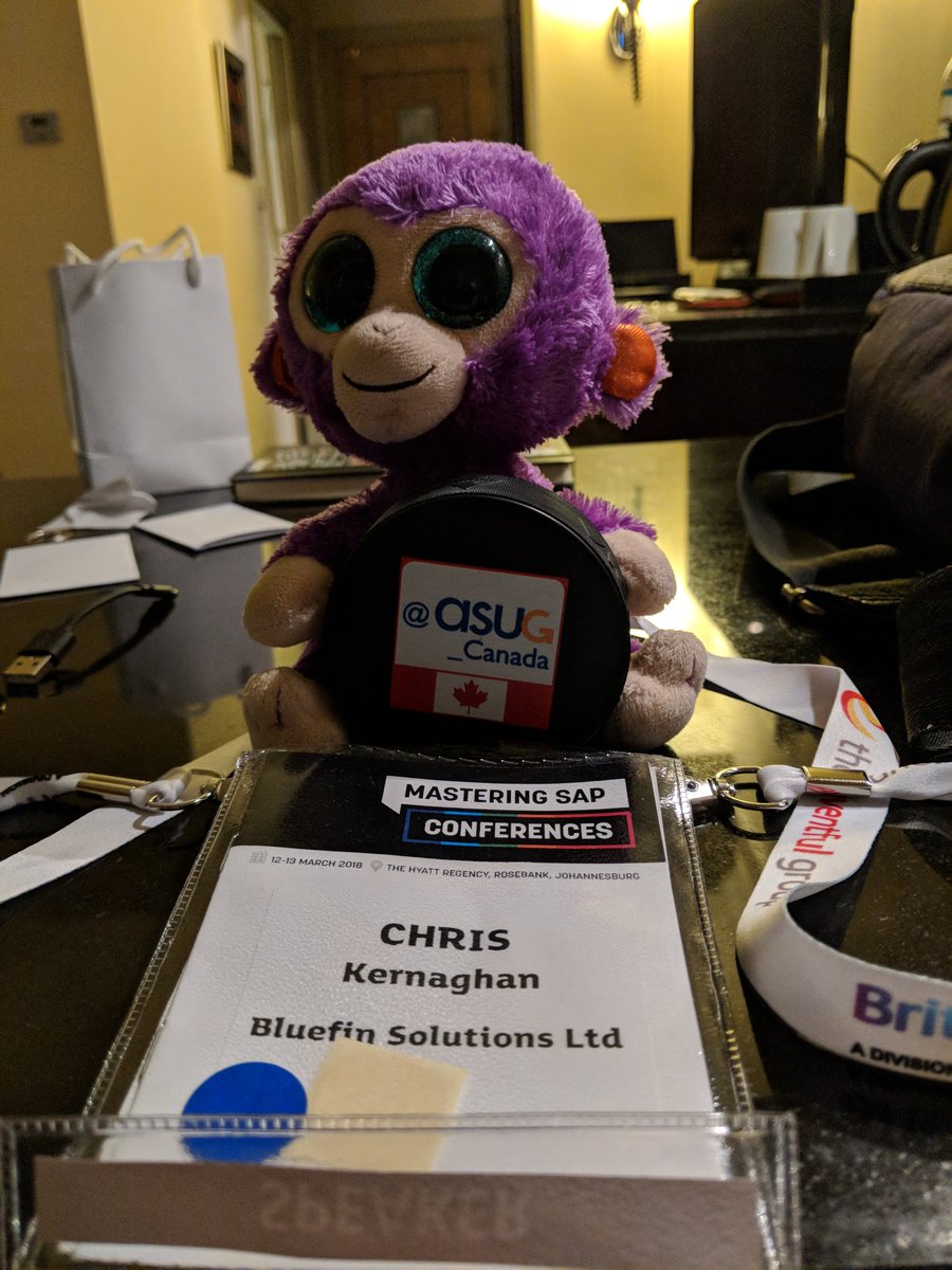 BoobBoo's tweet photo. #monkeyfriend ready for the first day of the conference and supporting me in my keynote. Question is does he sit in the audience or does he sit up on the lecturn? #masteringsap What do you think? https://t.co/s05sLQyGnH