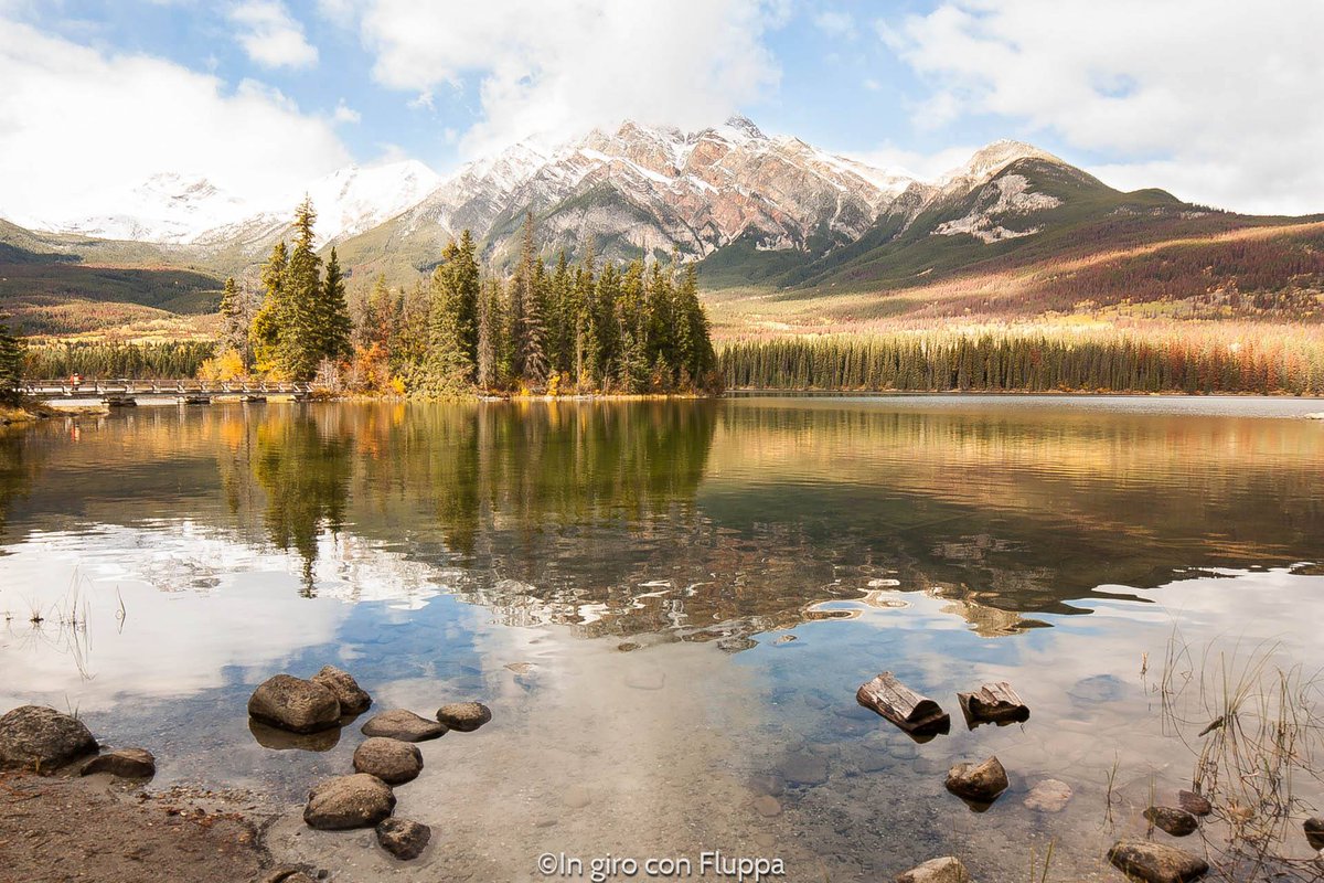 InGiroConFluppa's tweet photo. Buongiorno cara @lonelyplanet_it,  oggi #scappoA #Jasper, un immenso parco nazionale in Canada occidentale, a godermi antichi ghiacciai, animali selvatici, canyon profondi e rilassanti fonti termali! Link al post: https://t.co/DOLE0JLF0F https://t.co/FSGkPZ2xjx