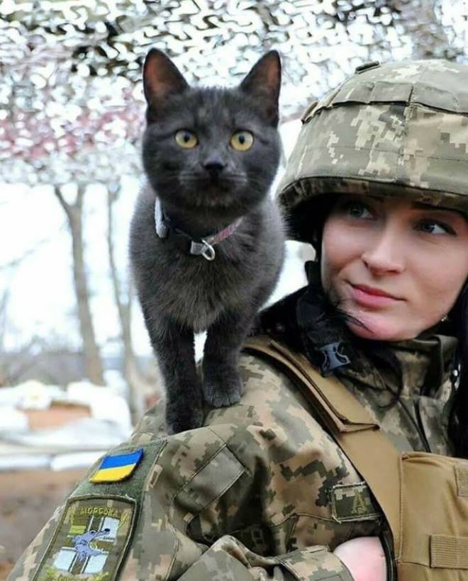 Российские наемники обстреляли наши позиции под Павлополем из минометов, - штаб АТО - Цензор.НЕТ 8553