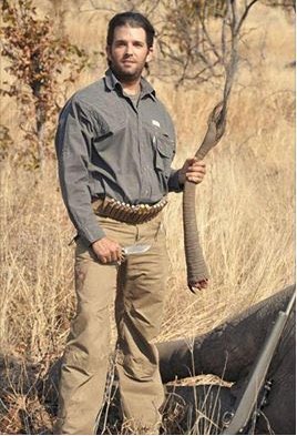 SimplyElephants's tweet photo. Donald Trump, Jr. (our President's son) posing with an elephant tail - the trophy he hacked off after murdering this beautiful creature. https://t.co/IVFAeTmq0F