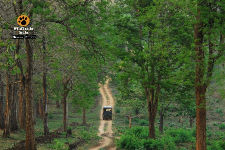 Wonderful Life. The burgess shala and nature
