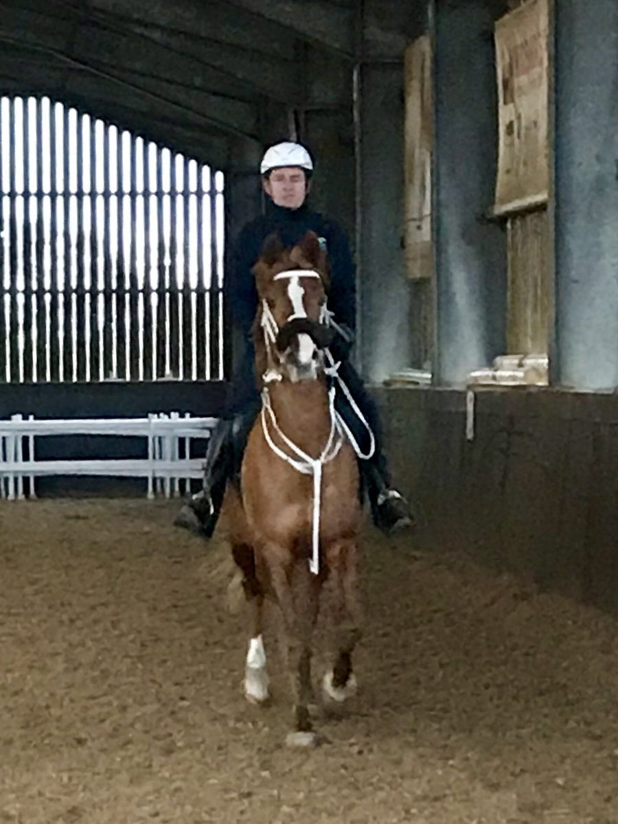 TAJperformance's tweet photo. International squad assessment &amp; Nasser &amp; Bonanza pass with flying colours #teamforageplus #poweredbyforageplus https://t.co/tBaKyt7xBc