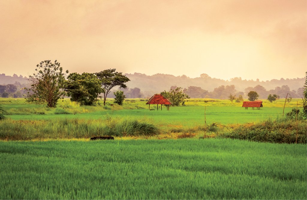 exploresl's tweet photo. Tranquil Girandurukotte
https://t.co/Yu2cgkbQqI
#Tranquil #Girandurukotte #Pcturesque #Beauty #Rural #Discover #Wonders #Mysteries #Explore #Travel #Destinations #PlacesToVisit #Experience #Nature #ExploreSriLanka #SriLanka #ESL https://t.co/FFMJR9P1eX