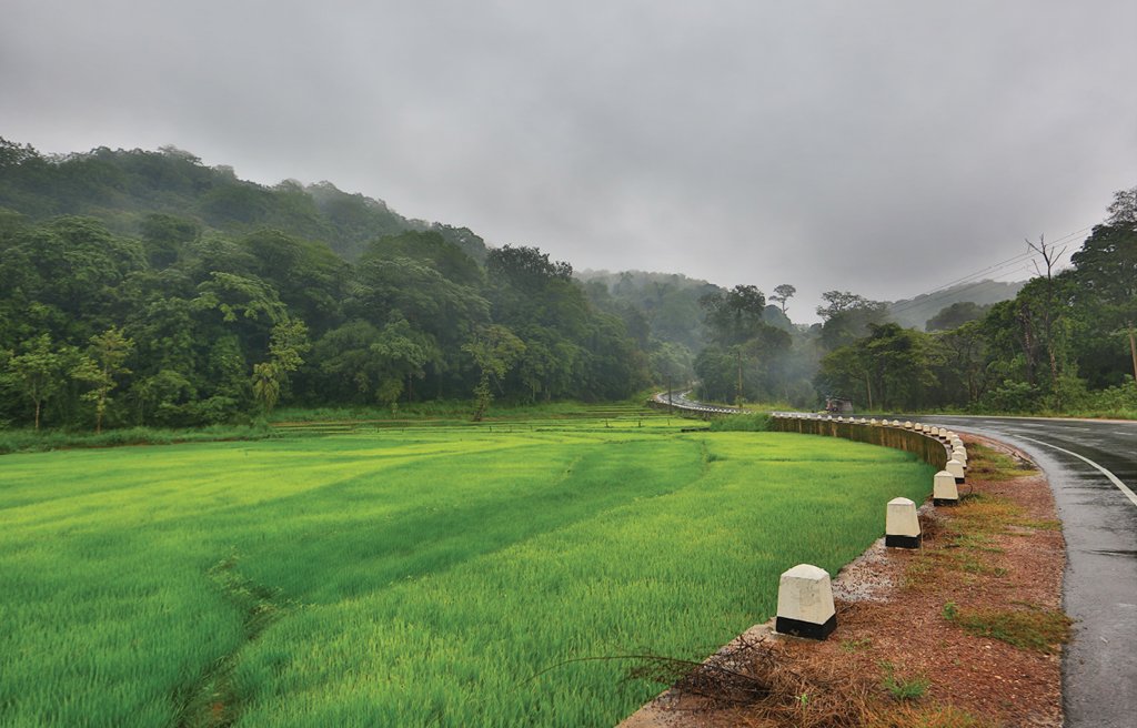 exploresl's tweet photo. Tranquil Girandurukotte
https://t.co/Yu2cgkbQqI
#Tranquil #Girandurukotte #Pcturesque #Beauty #Rural #Discover #Wonders #Mysteries #Explore #Travel #Destinations #PlacesToVisit #Experience #Nature #ExploreSriLanka #SriLanka #ESL https://t.co/FFMJR9P1eX
