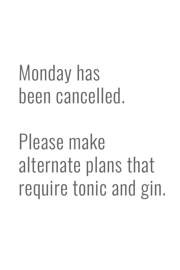 ginseccobar tweet media