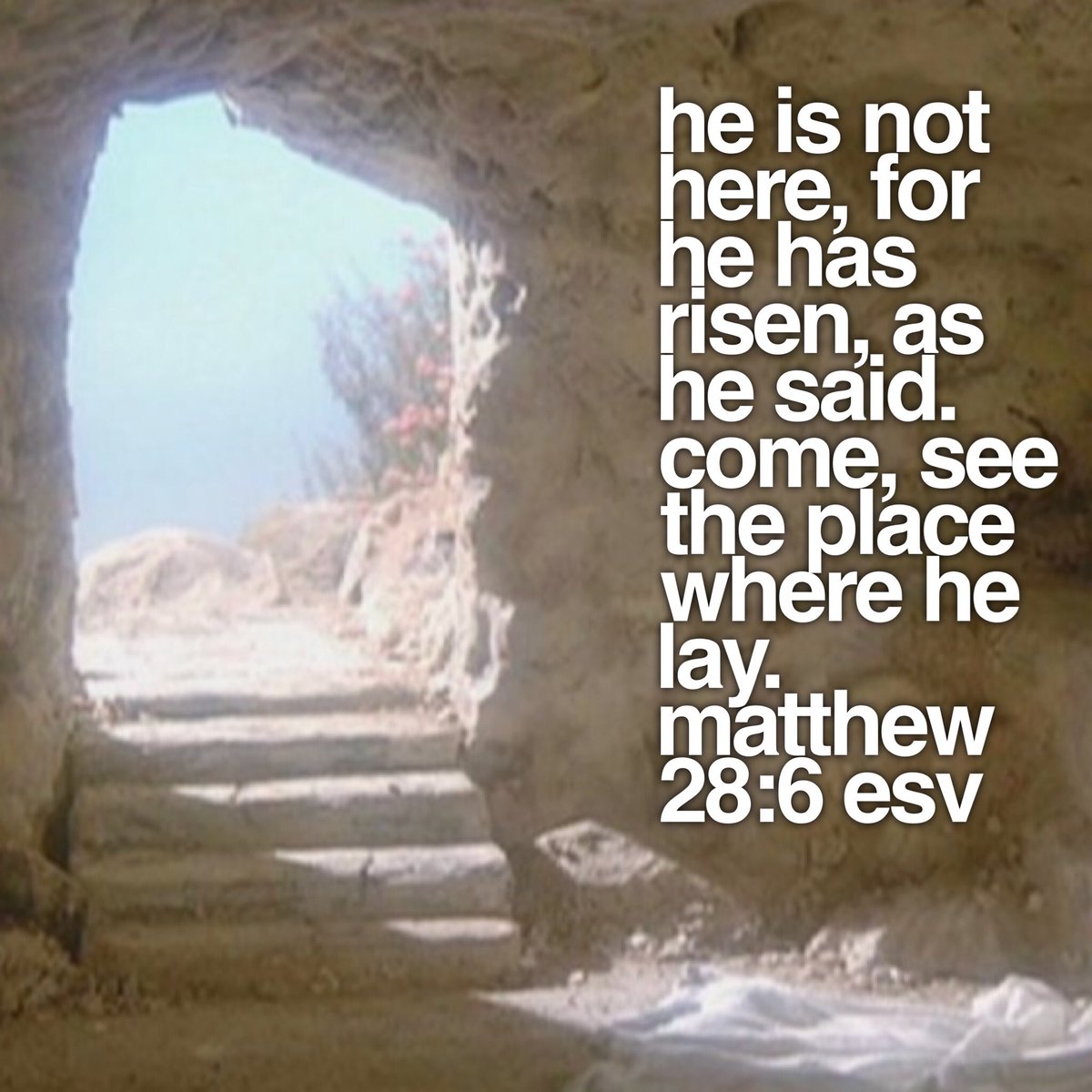 SoapStudy20's tweet photo. He is not here, for he has risen, as he said. Come, see the place where he lay. Matthew 28:6 ESV
#day08 #mar18 #verse #SOAP #Bible #Study #BibleStudy #EnjoyTheStudy #JoinTheCommunity #ShareTheWisdom at https://t.co/1BSZA4bNIh https://t.co/5G5AYZkQEA