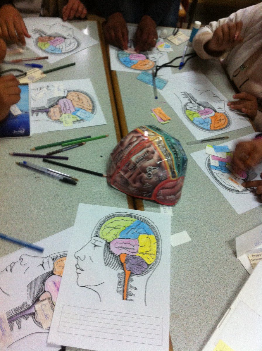 Mettre les enfants en position de chercheur, voir cette petite étincelle, retrouver le sens de "plaisir d apprendre" #MOOCNeuro merci les <a href="/savantures/">Savanturiers - École de la recherche</a> ^_^