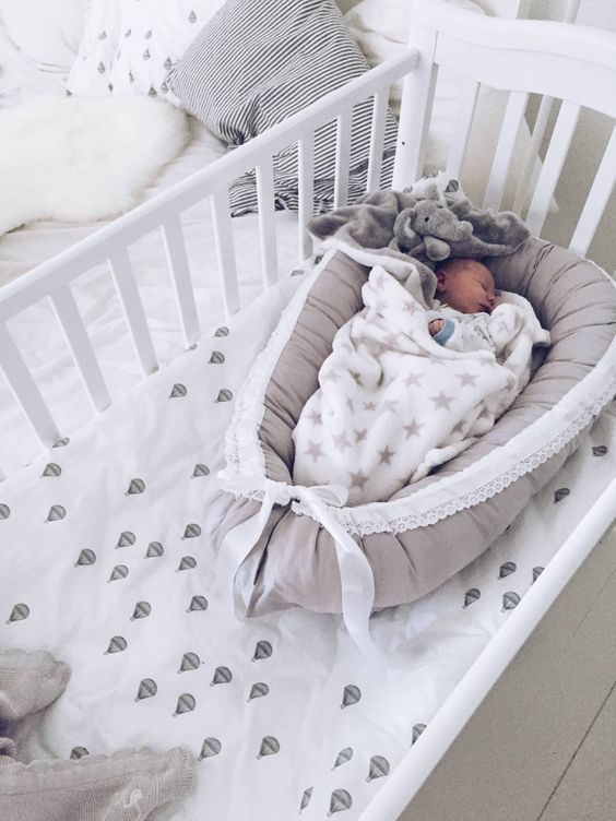 minimiabows's tweet photo. If only Monday’s were this comfortable 😢😢
#MiniMiaBows https://t.co/xkiKqm3tww