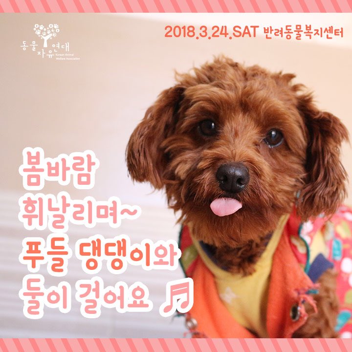 동물자유연대 tweet media
