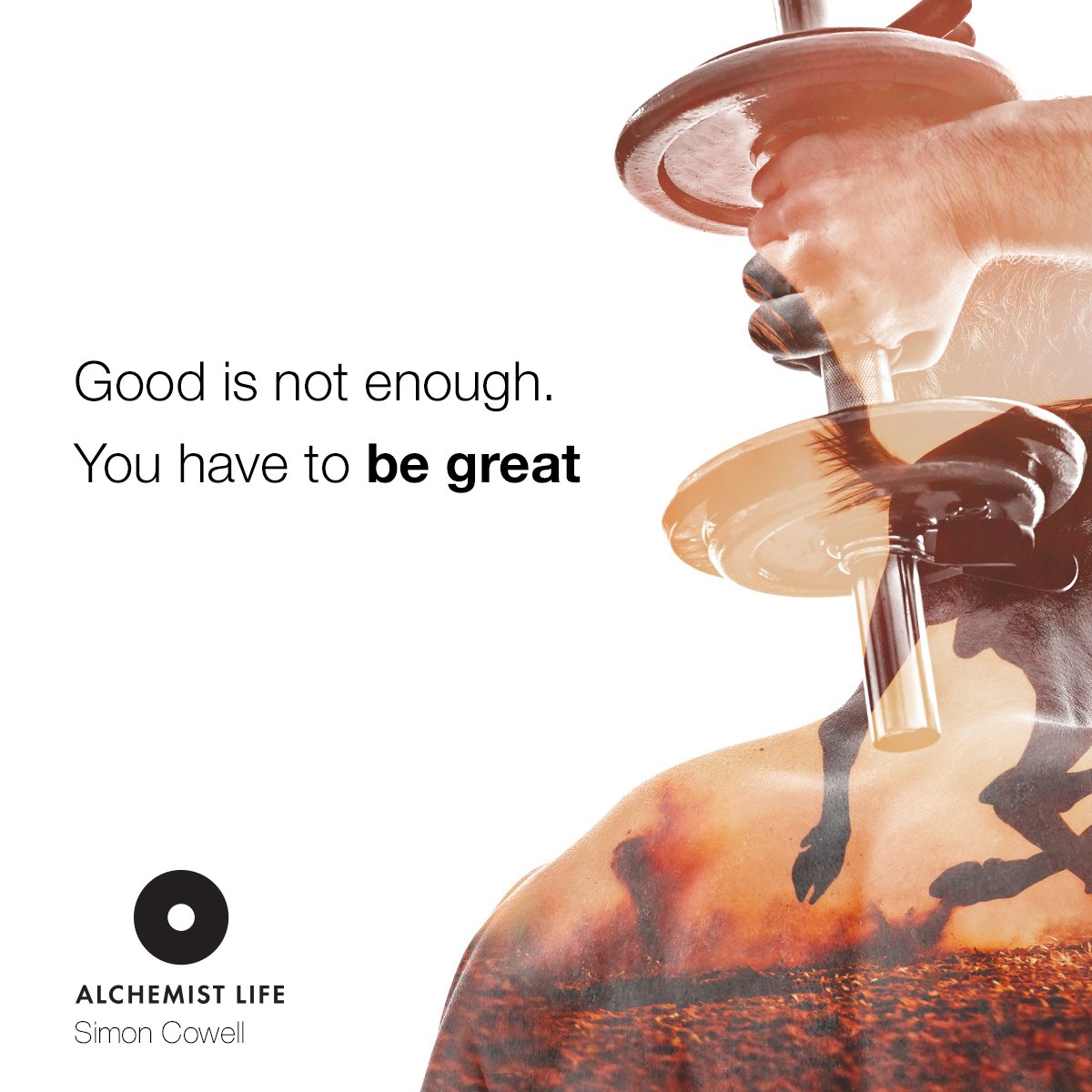 AlchemistLifeUK tweet picture