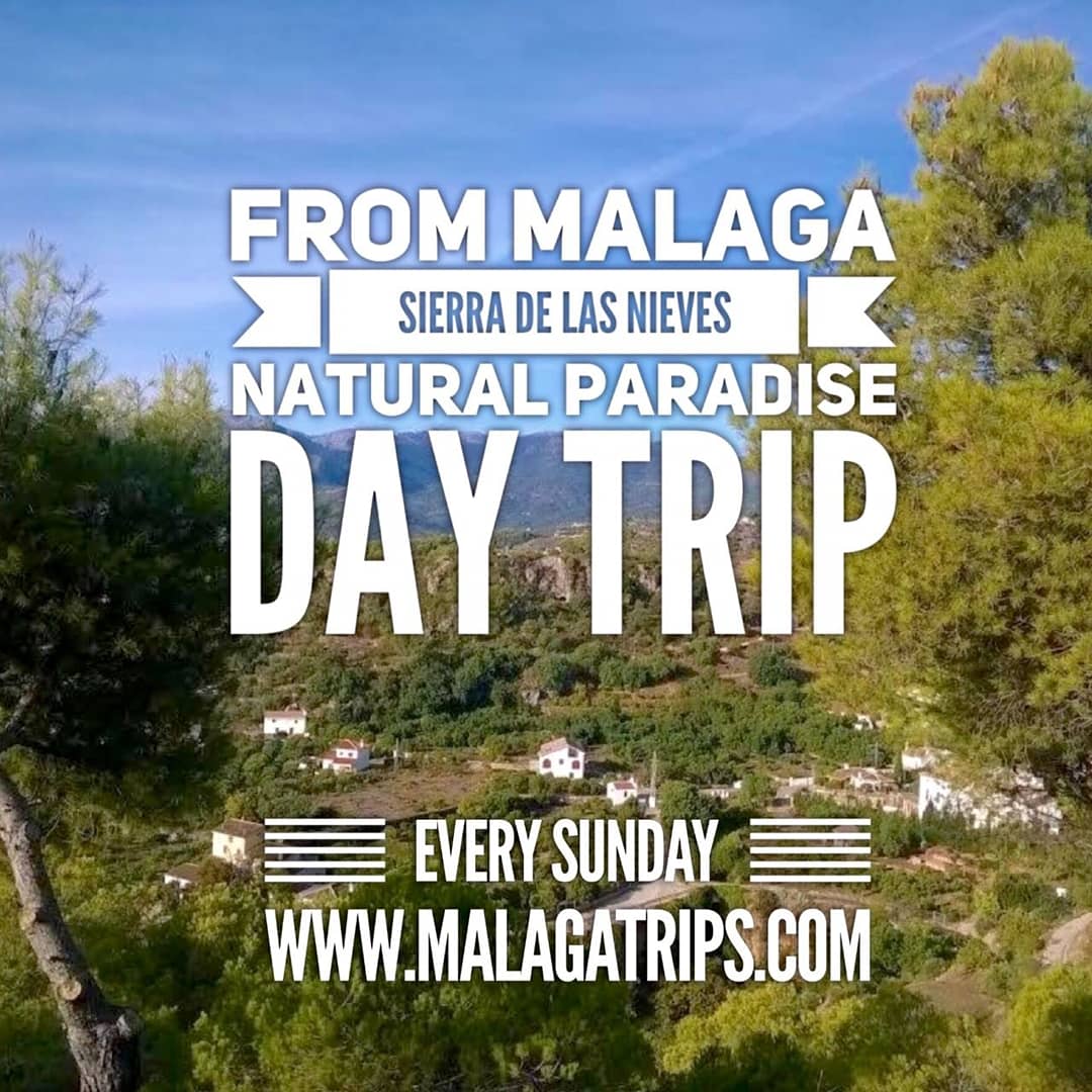 Malaga Trips tweet media
