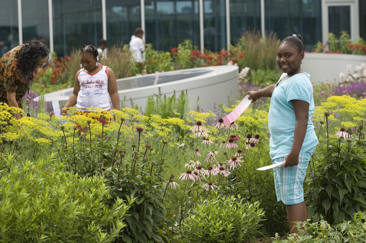 With its mosaic and fruitful green roof, the Gary Comer Youth Center is helping kids in one of Chicago’s toughest regions stay safe and dream big. To learn more visit landscapevoice.com/gary-comer-you…
#FindingCenter #FCC