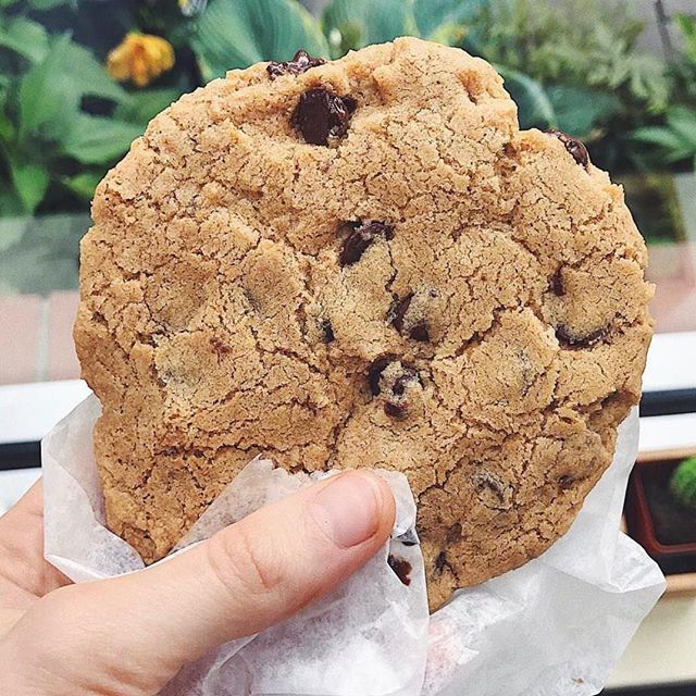RIFoodFights's tweet photo. The 6th Annual Spectacular COOKIE Smackdown is Sunday, March 25th and @wildflourveganbakery is IN! All you can sample of the #BestCookiesRI from only the BEST bakeries washed down w ALL you can chug @yachtclubsoda, @newharvestcoffee, and ice cold milk! O… https://t.co/9MkkIyPcYu https://t.co/LlatGNXFC5