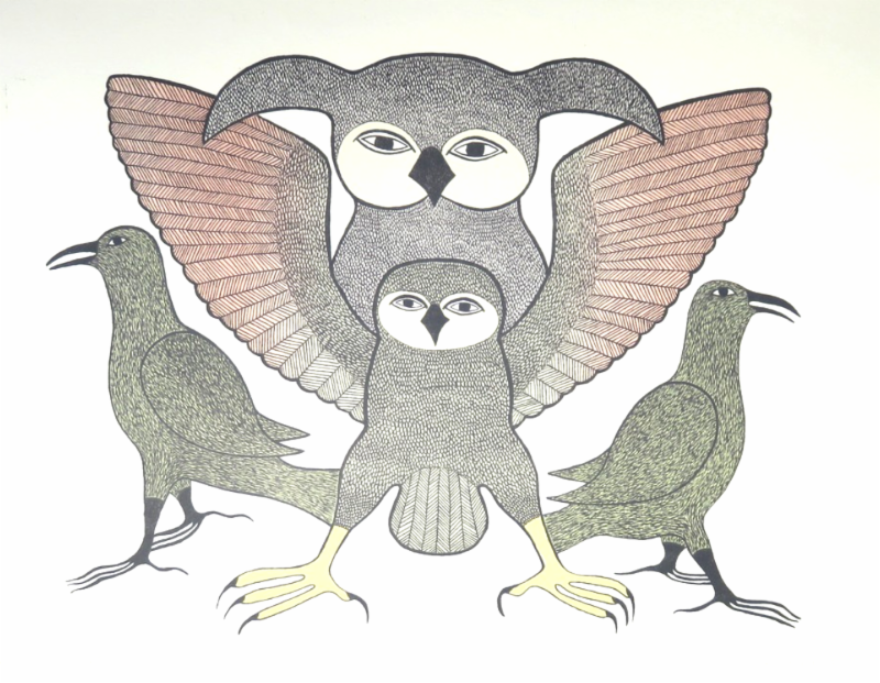 arcticmcnaught's tweet photo. Artist Bios #3 - Kenojuak Ashevak https://t.co/YtjNan1BzK https://t.co/fY3pcDFvw2