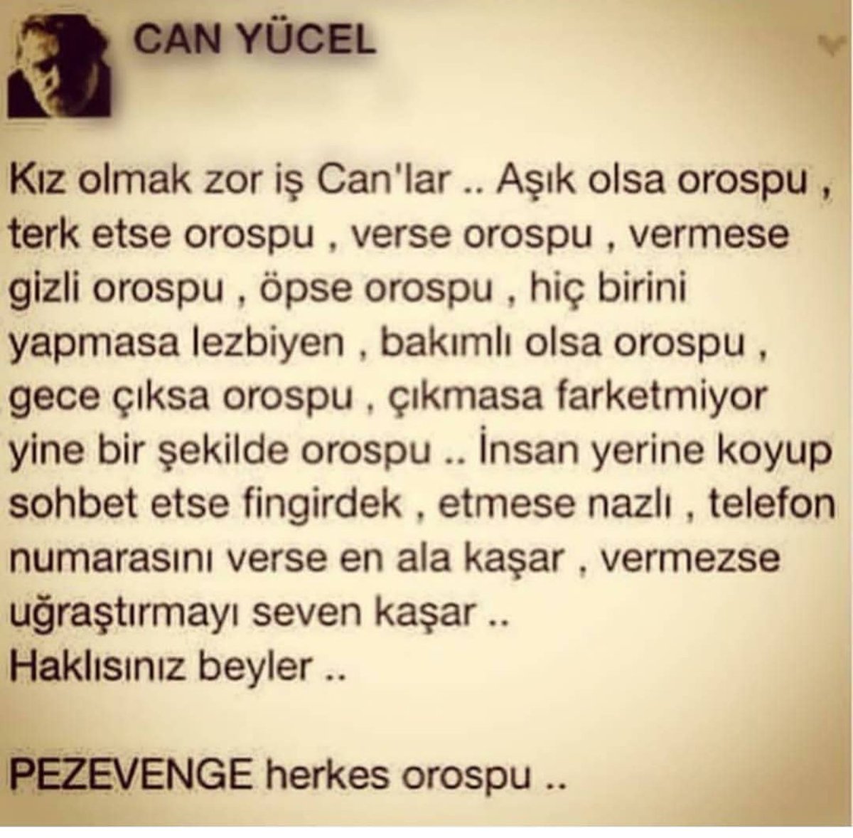 Rivriv9's tweet photo. Aynen öyle PEZEVENGE herkes orospu👊 https://t.co/qJuURucx79