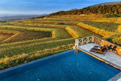 Valade & Transandine tweet media